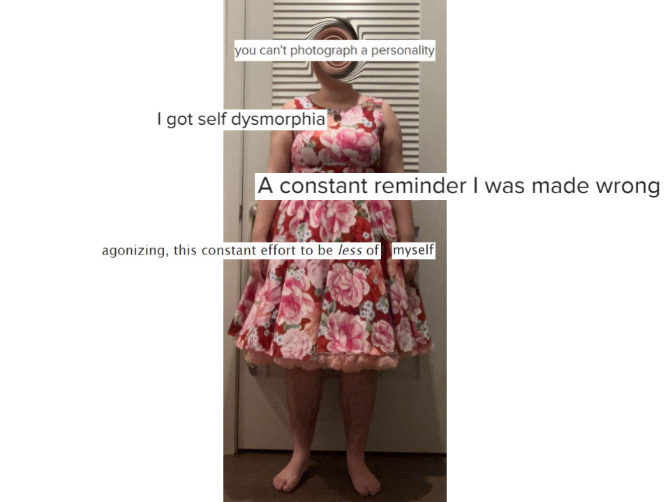 A collage with a base picture of me in a red dress with a pink floral print and pink petticoat. There is a twirl effect over my face, and a bar of text that reads "you can't photograph a personality". Lower down on my body is the text "I got self dysmorphia", "A constant reminder I was made wrong", and "agonizing, this constant effort to be less of  myself".